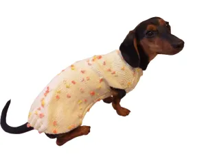 New exclusive collection of sweaters with flowers and butterflies for the miniature dachshund or small dog