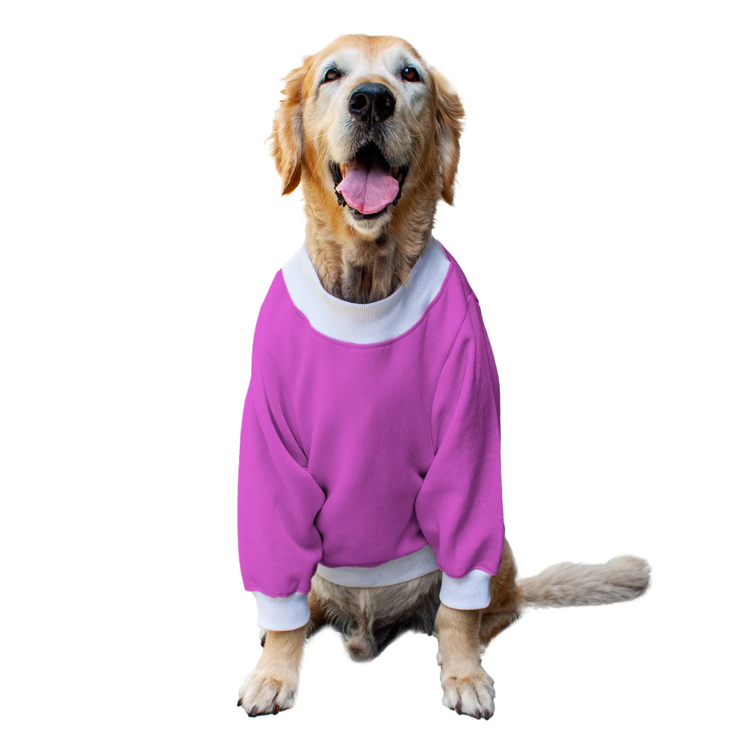 Ruse 'Basics' "Bhootiful" Printed Crew Neck Full Sleeve Sweatshirt For Dogs